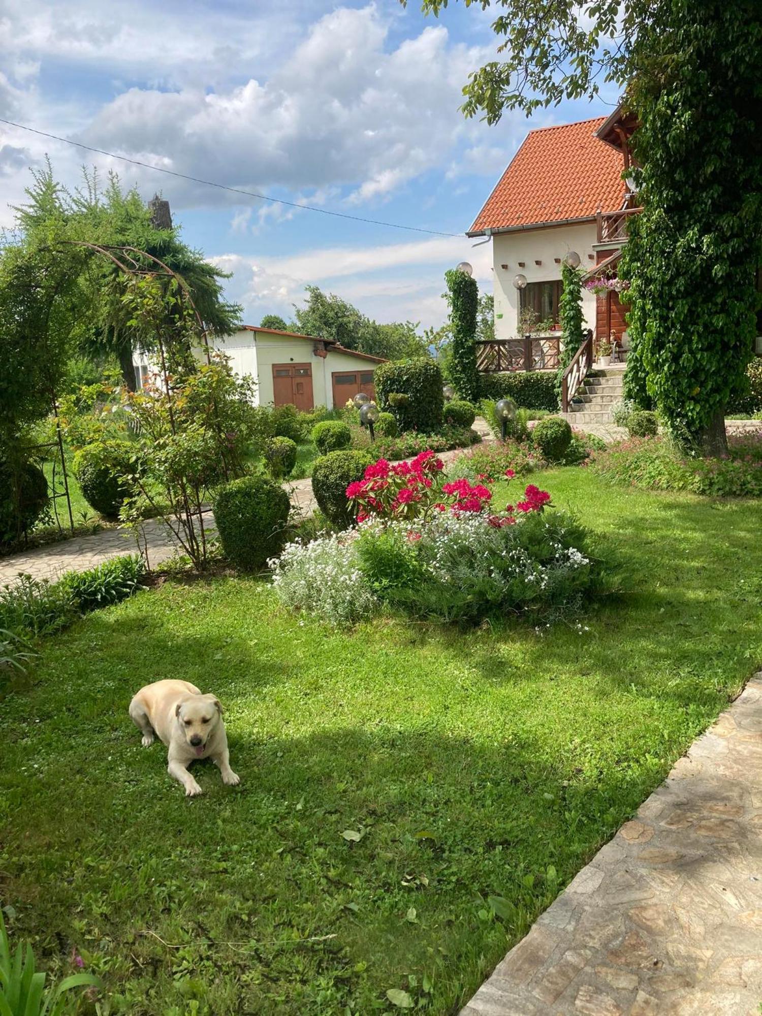 Orehite Guest House Samokov Exterior foto